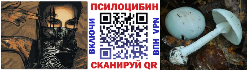 Псилоцибиновые грибы мицелий  Венёв 